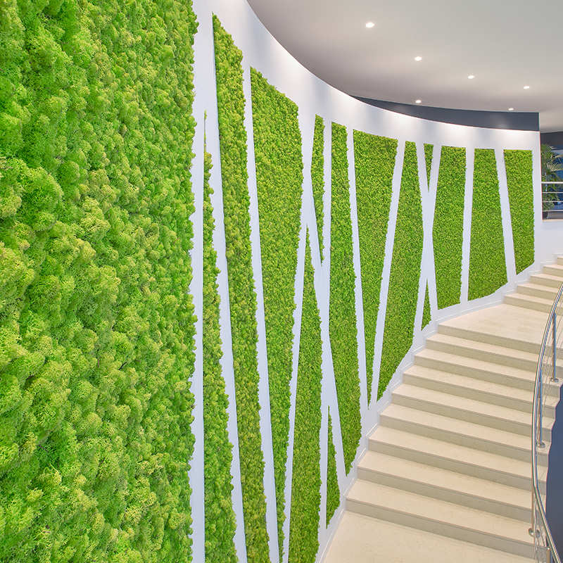 Mosswall - Image 23