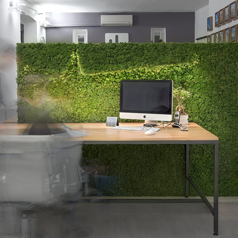 Mosswall - Image 10