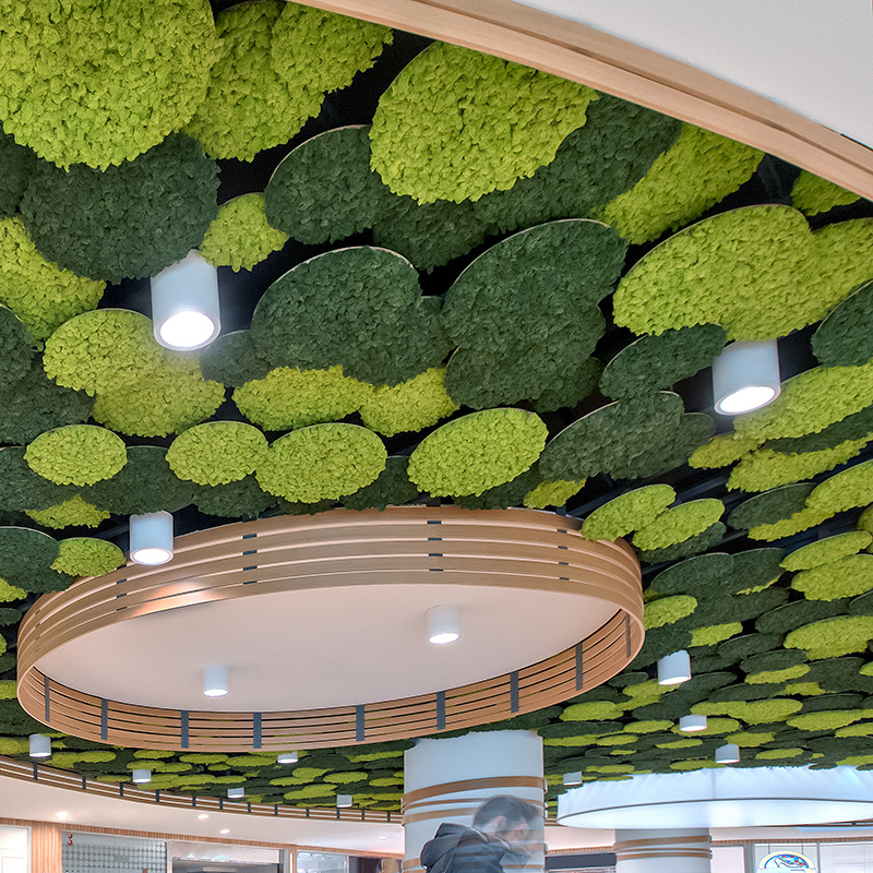 Mosswall - Image 3
