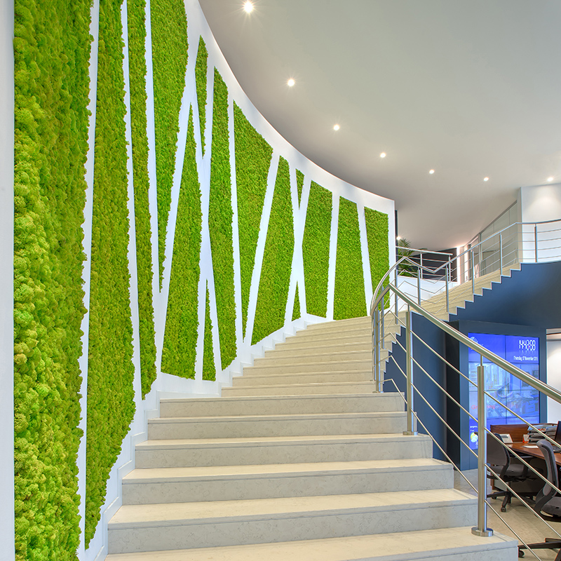 Mosswall - Image 24