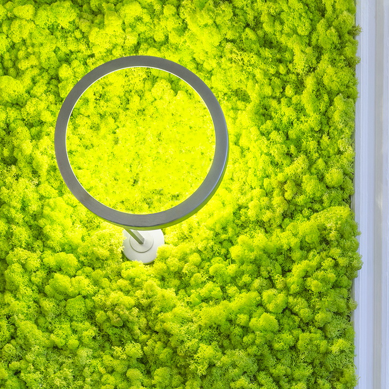 Mosswall - Image 31