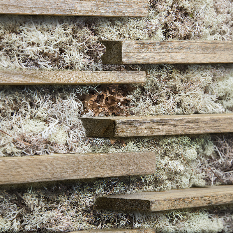 Mosswall - Image 8