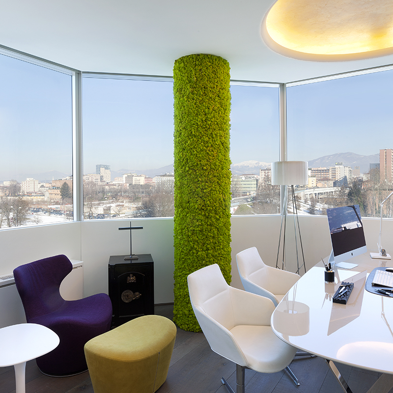 Mosswall - Image 18