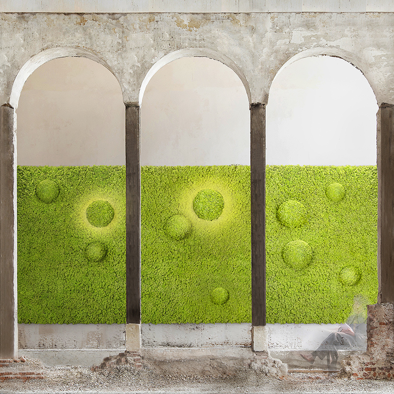 Mosswall - Image 17