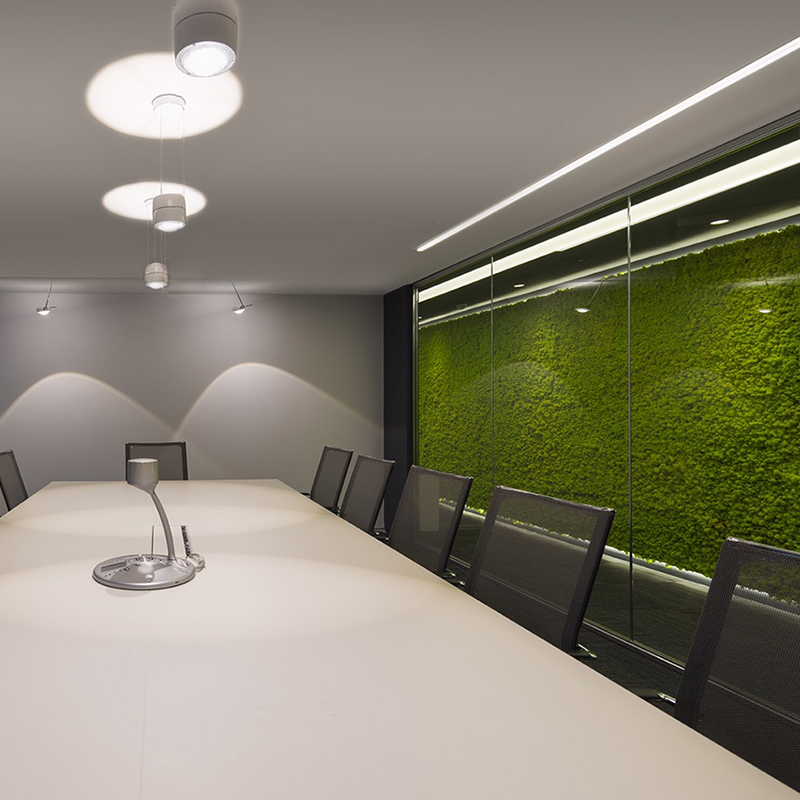 Mosswall - Image 14