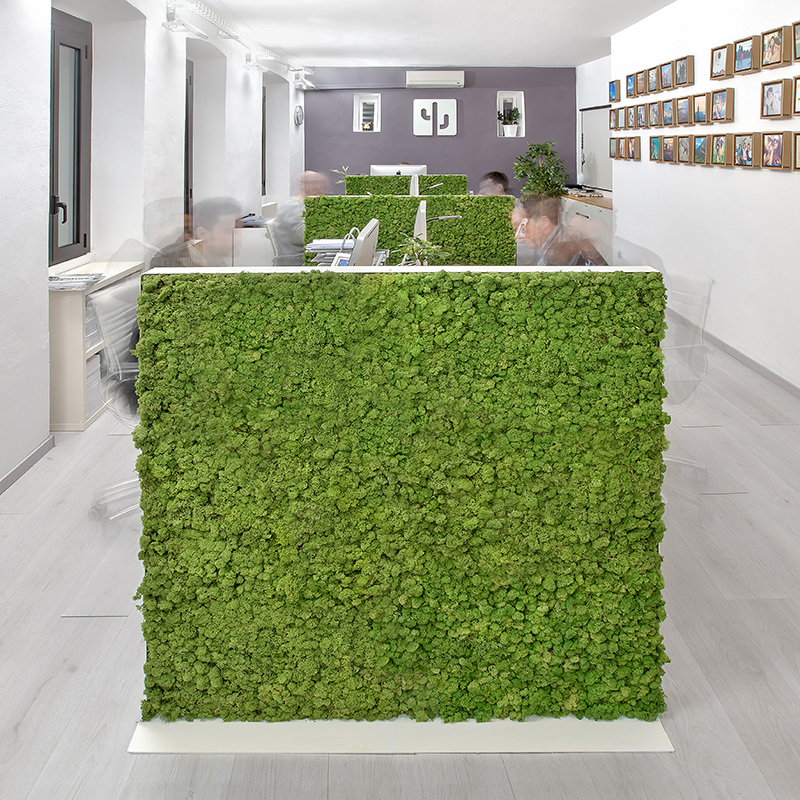 Mosswall - Image 25