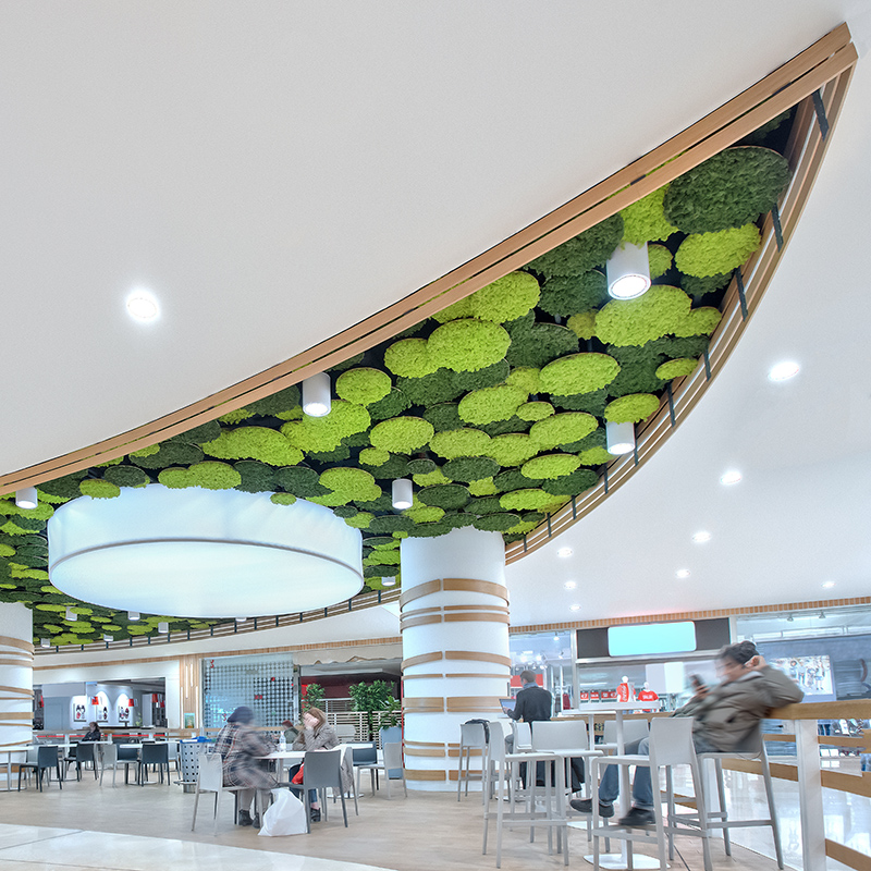 Mosswall - Image 2