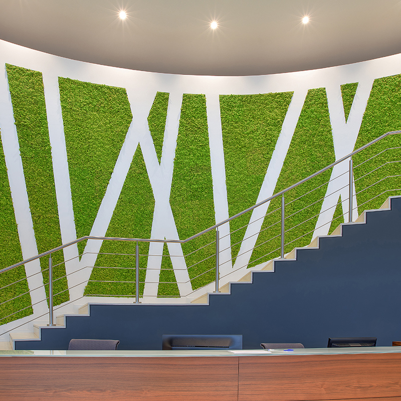 Mosswall - Image 22