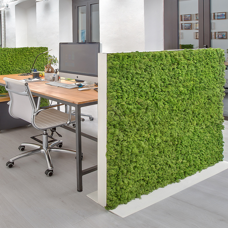 Mosswall - Image 26