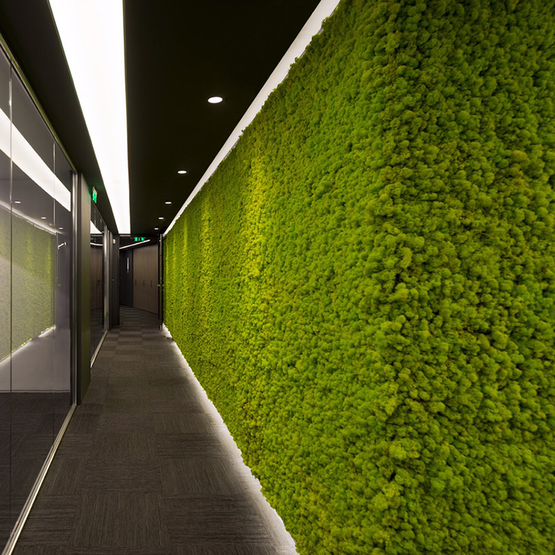 Mosswall - Image 13