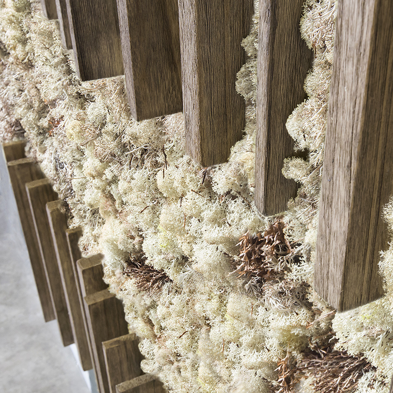 Mosswall - Image 7