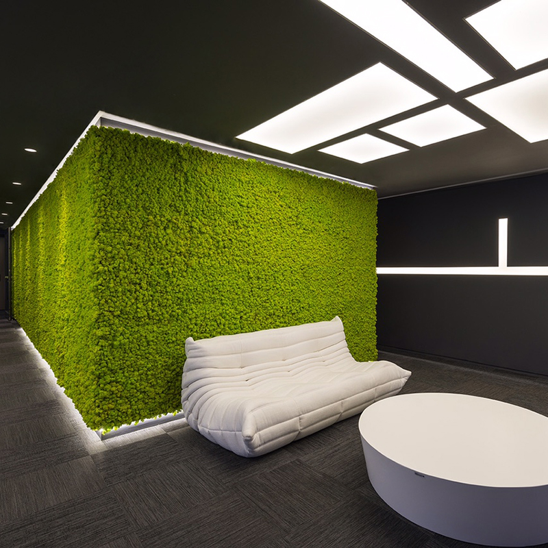 Mosswall - Image 11