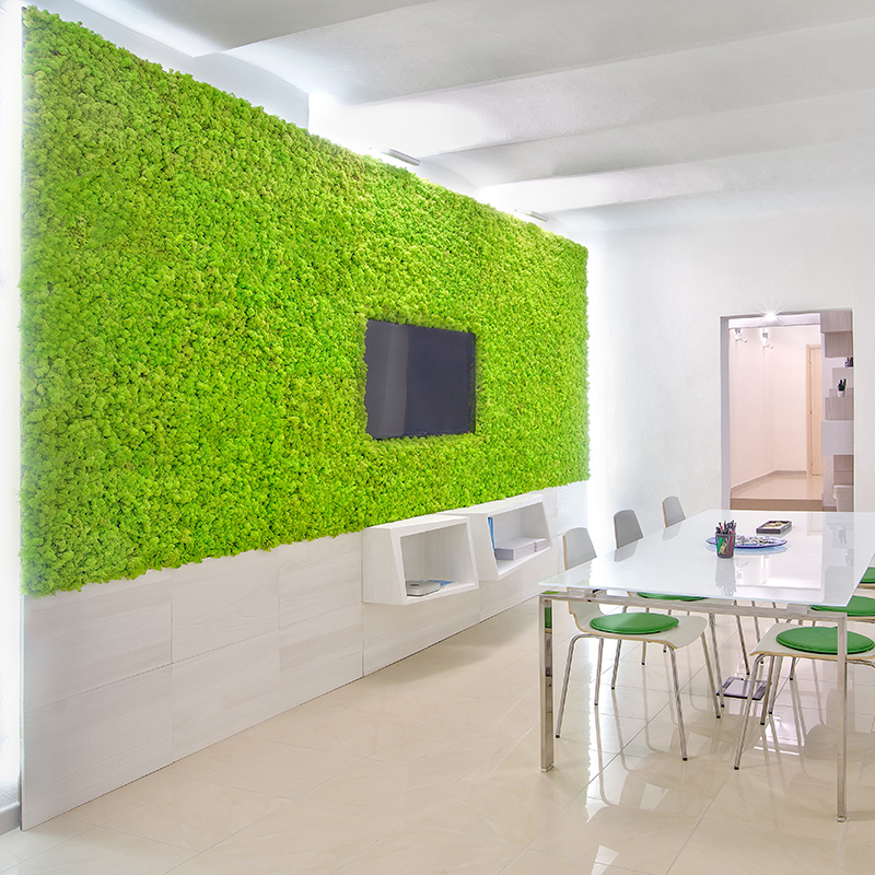 Mosswall - Image 27