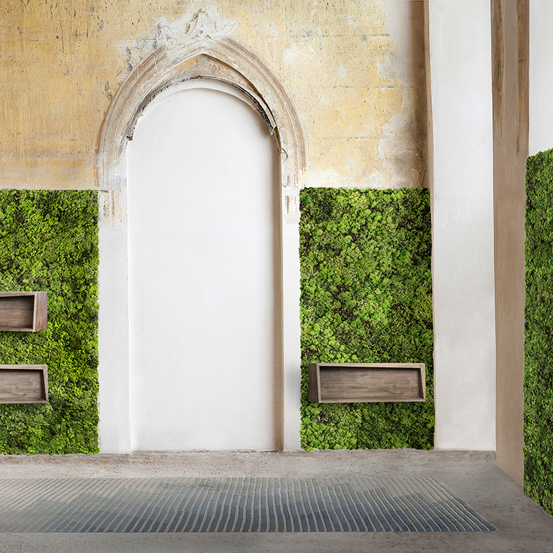 Mosswall - Image 6
