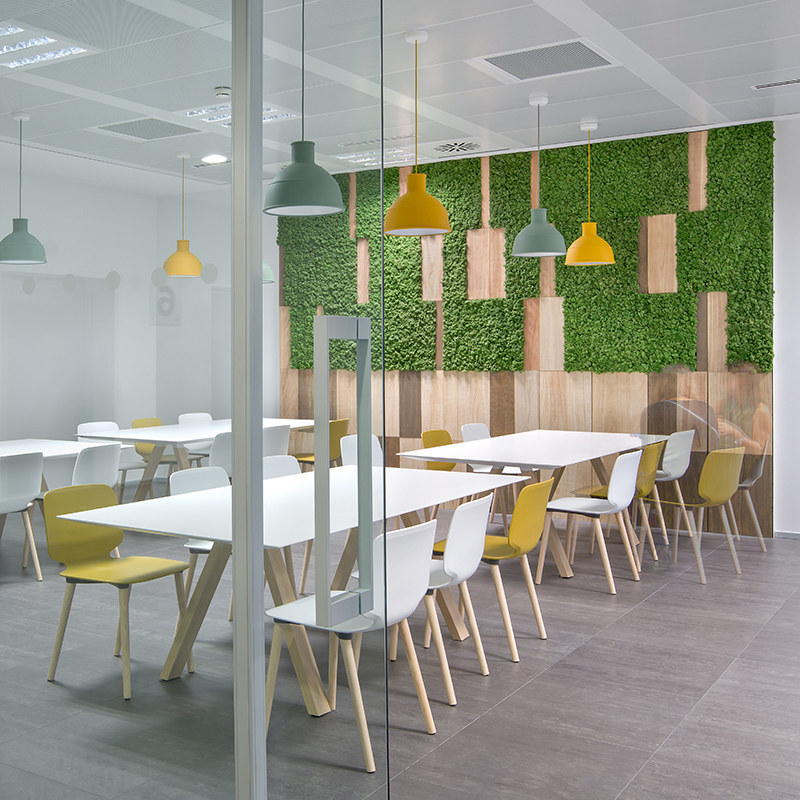 Mosswall - Image 32