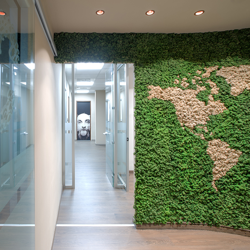 Mosswall - Image 9